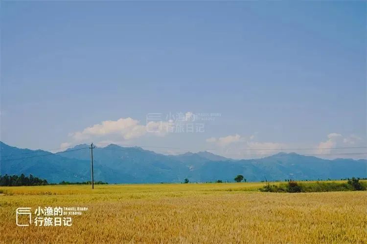 秦岭、乡村、麦浪！随手一拍都是大片西安初夏最治愈的风景！-第6张图片