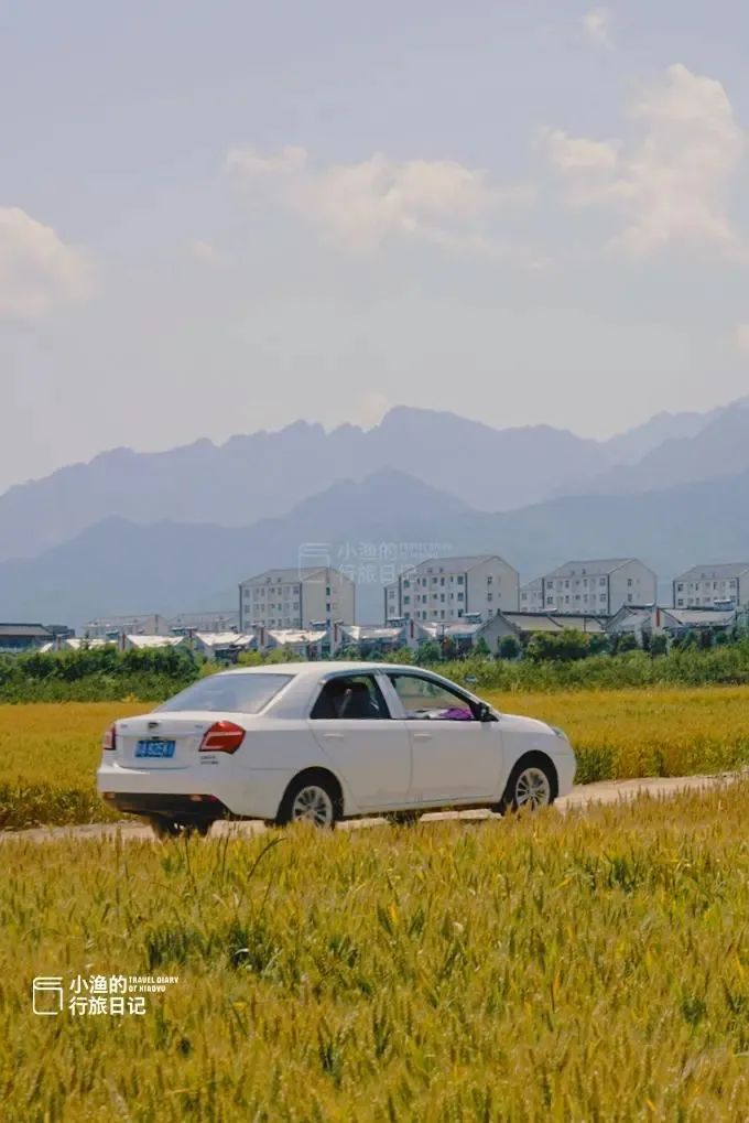 秦岭、乡村、麦浪！随手一拍都是大片西安初夏最治愈的风景！-第5张图片