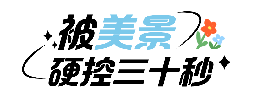 被西安城墙“硬控”啦?西安娱乐放松,看看城墙的风景 第2张