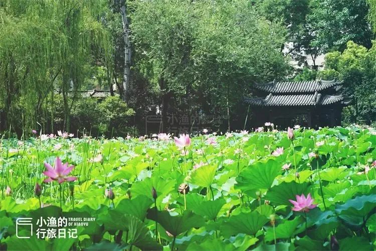今成免费景区，西安人夏天都该来逛逛！600年前只有“贵族”能进，西安放松娱乐公园-第4张图片