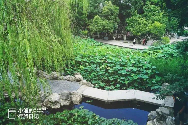 今成免费景区，西安人夏天都该来逛逛！600年前只有“贵族”能进，西安放松娱乐公园-第1张图片