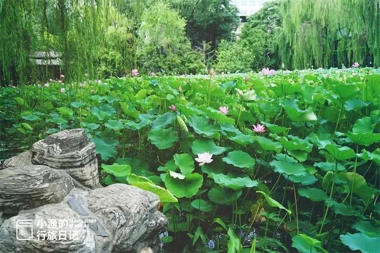 今成免费景区，西安人夏天都该来逛逛！600年前只有“贵族”能进，西安放松娱乐公园-第5张图片