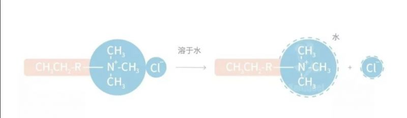 西安洗浴知识分享：用肥皂和沐浴露洗澡有什么不同？-第5张图片