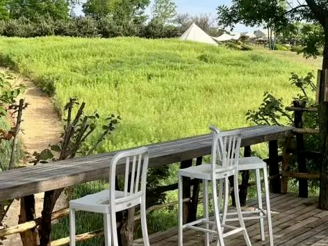西安周边这4个宝藏农场一定要去!亲近自然溜娃圣地 第3张