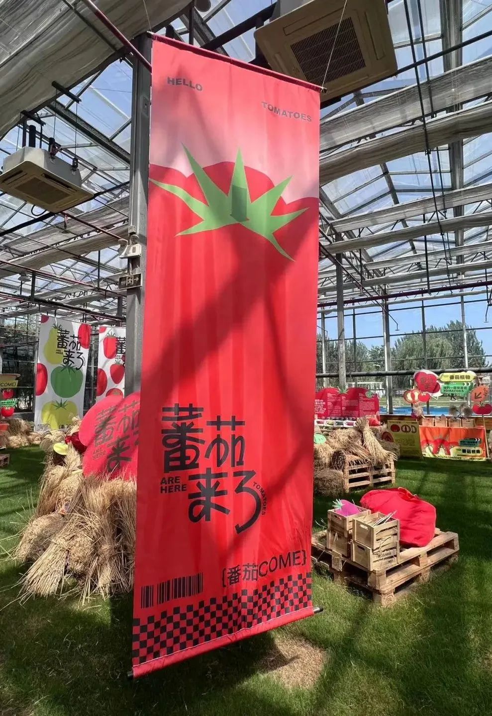 西安周边这4个宝藏农场一定要去！亲近自然溜娃圣地-第5张图片