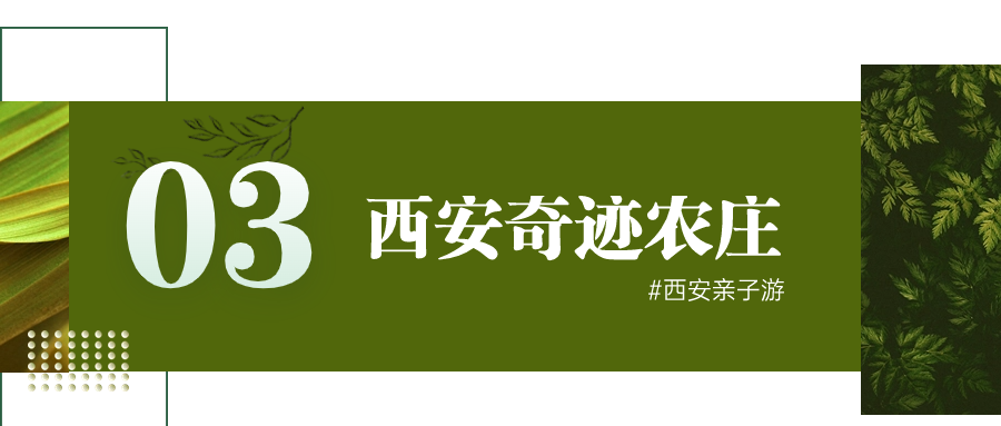 西安周边这4个宝藏农场一定要去！亲近自然溜娃圣地-第17张图片