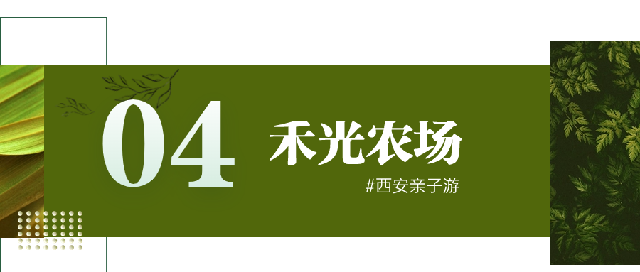 西安周边这4个宝藏农场一定要去！亲近自然溜娃圣地-第25张图片