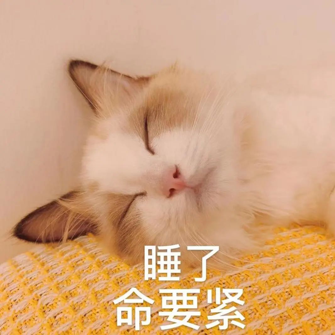 直飙39℃！高温 阵雨轮番暴击西安！热҈冒҈烟҈！-第1张图片