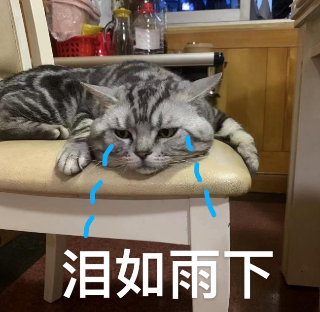 直飙39℃！高温 阵雨轮番暴击西安！热҈冒҈烟҈！-第5张图片