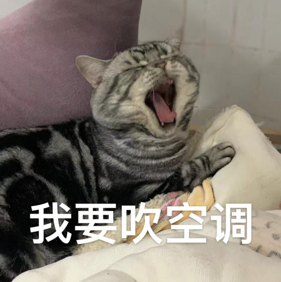 直飙39℃！高温 阵雨轮番暴击西安！热҈冒҈烟҈！-第2张图片