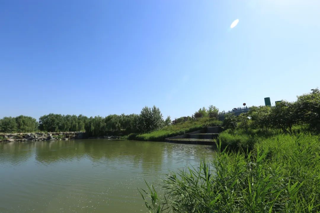 直飙39℃！高温 阵雨轮番暴击西安！热҈冒҈烟҈！-第10张图片