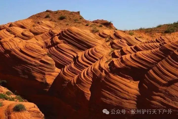 活动召集8月16日—8月24日西安兵马俑、大唐不夜城、黄帝陵、华山、延安、甘泉大峡谷、波浪谷、壶口瀑布、李家大院、鹳雀楼-第20张图片