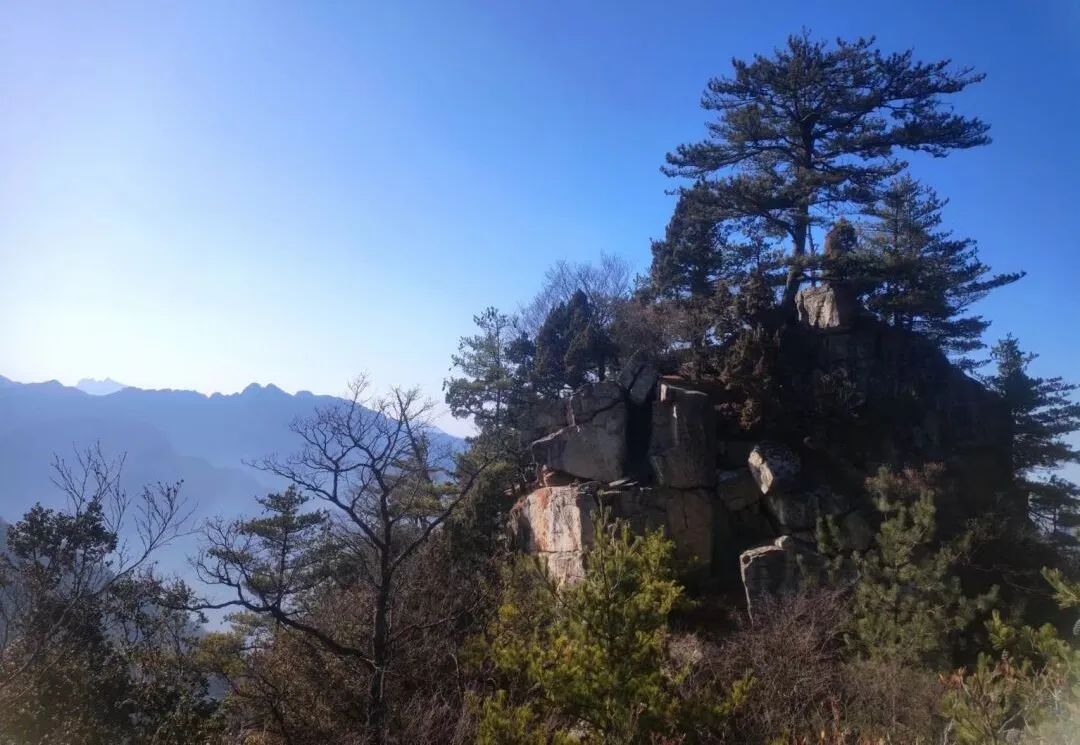 感受20°的夏天!西安周边娱乐,周一山!打卡8条夏日清凉路线! 第4张