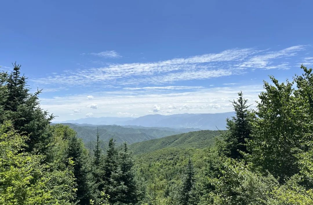 感受20°的夏天!西安周边娱乐,周一山!打卡8条夏日清凉路线! 第6张