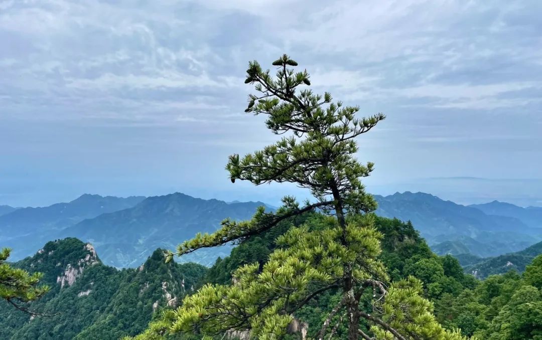感受20°的夏天!西安周边娱乐,周一山!打卡8条夏日清凉路线! 第15张