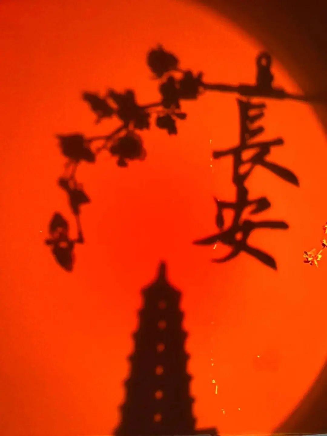 一个见过大世面的城市!旅游放松就来西安! 第3张