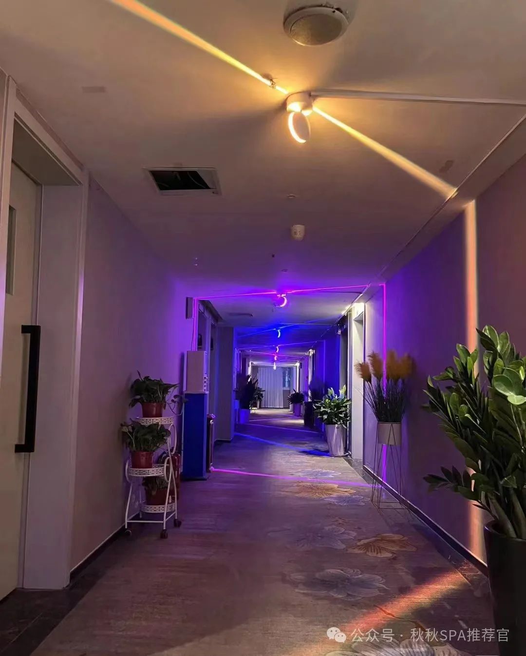 西安高端SPA定制会所,您的艺术之旅起点!繁华都市中的男士避风港 第2张