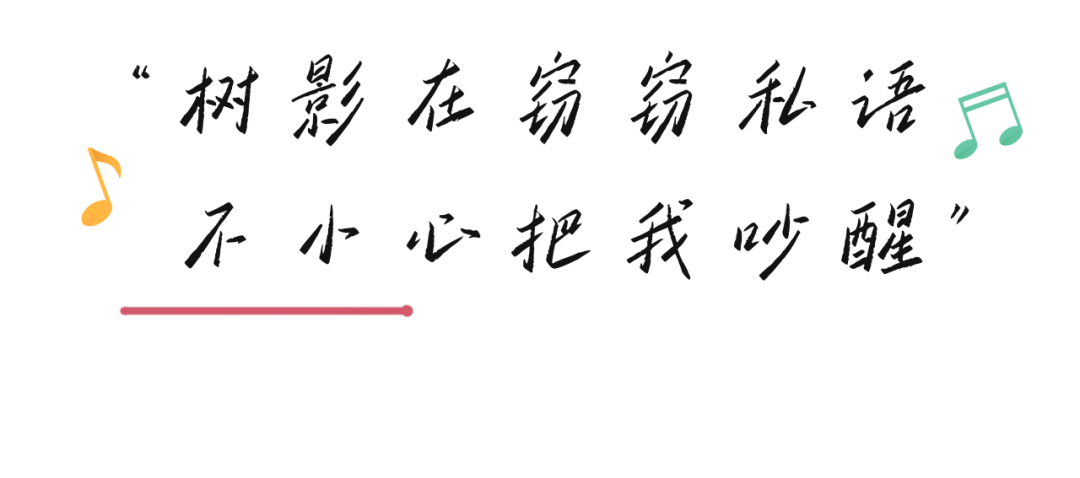 西安城墙的夜晚,西安夜晚娱乐,美不胜收的夜晚的美 第12张