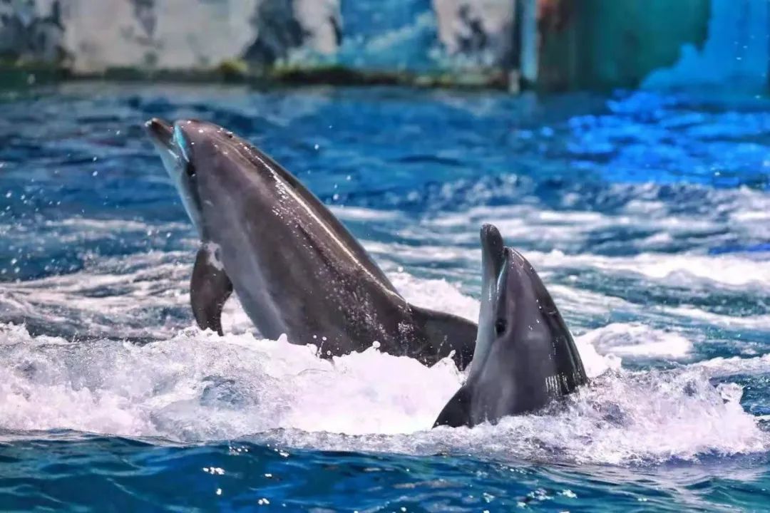 值得打卡→炎炎暑期 西安旅游放松的这四个室内游玩宝藏地-第19张图片