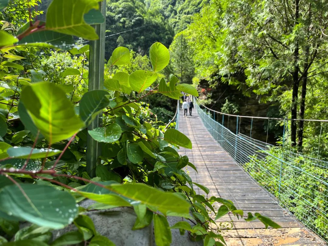 这里藏着一个奇妙的夏天!你不知道的西安周边宝藏公园 第2张