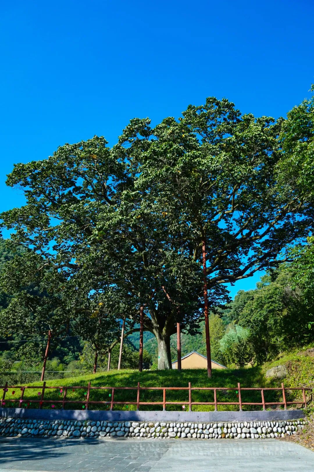 这里藏着一个奇妙的夏天!你不知道的西安周边宝藏公园 第13张