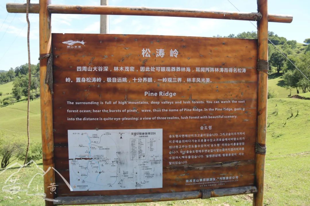 西安周边相见恨晚的宝藏地!不能不去的地方,快带家人来撒欢吧! 第22张