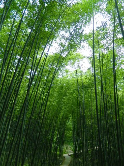 西安周边旅游16个避暑宝藏地,景美人少巨出片!最快30分钟即达! 第1张