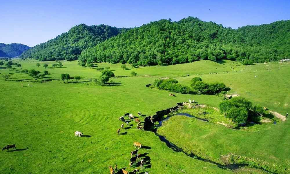 西安周边旅游16个避暑宝藏地，景美人少巨出片！最快30分钟即达！-第6张图片