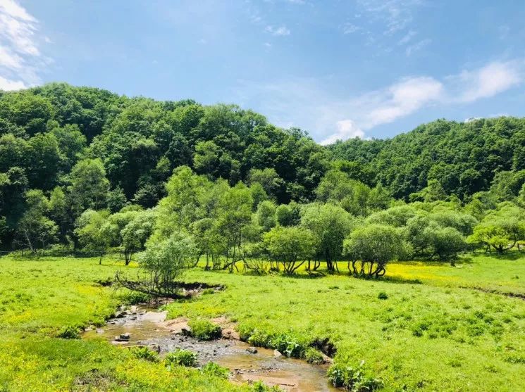 西安周边旅游16个避暑宝藏地，景美人少巨出片！最快30分钟即达！-第8张图片