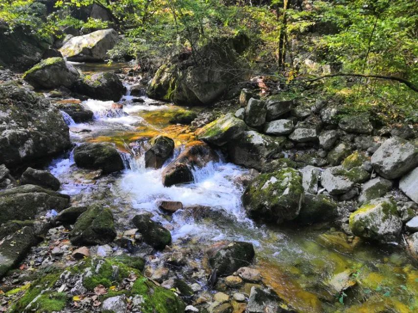 西安周边旅游16个避暑宝藏地,景美人少巨出片!最快30分钟即达! 第18张