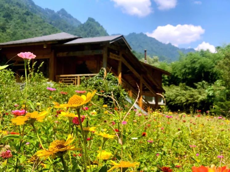西安周边旅游16个避暑宝藏地,景美人少巨出片!最快30分钟即达! 第22张