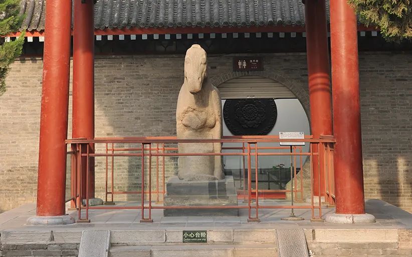去西安玩一定要去的几个博物馆,千万不能错过 第13张