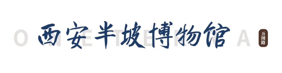 去西安玩一定要去的几个博物馆,千万不能错过 第15张
