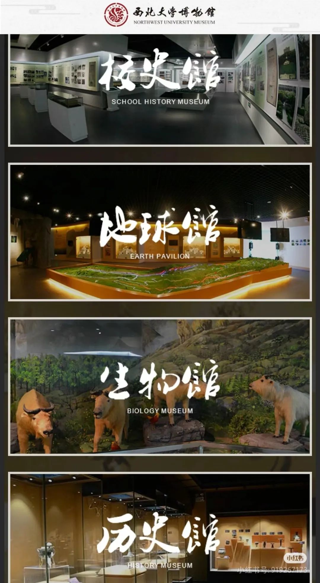 探索文化休闲新去处!西安周末免费畅游五大场馆 第1张