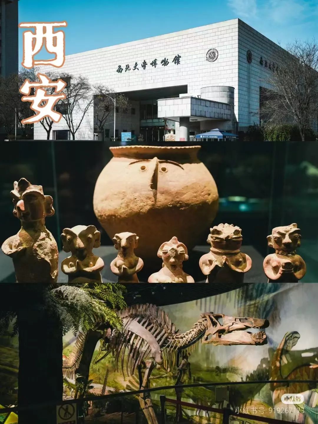 探索文化休闲新去处!西安周末免费畅游五大场馆 第2张
