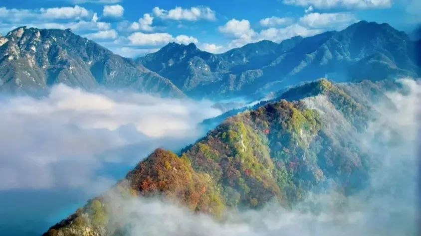 关键不要门票！！秋游赏红叶的天花板，圭峰山​离市区更近，西安周边娱乐旅游-第2张图片