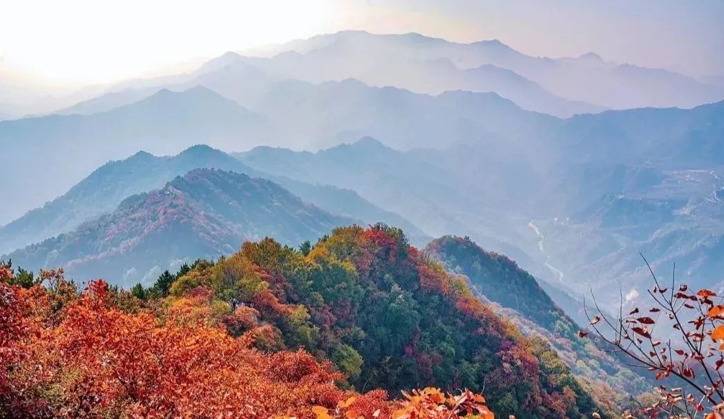 关键不要门票！！秋游赏红叶的天花板，圭峰山​离市区更近，西安周边娱乐旅游-第3张图片