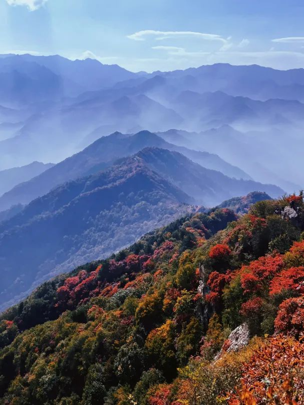 关键不要门票！！秋游赏红叶的天花板，圭峰山​离市区更近，西安周边娱乐旅游-第5张图片