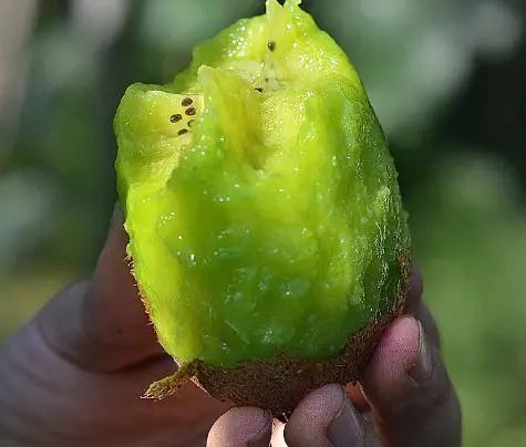 在西安旅游一定要带这些回去，十大特色美食！-第4张图片
