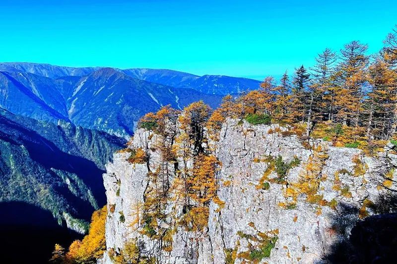 西安周边旅游放松：20处秋季银杏红叶最佳观赏地！  第12张
