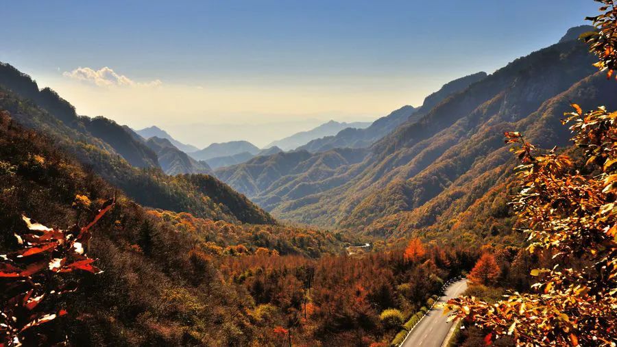 西安周边旅游放松：20处秋季银杏红叶最佳观赏地！  第14张