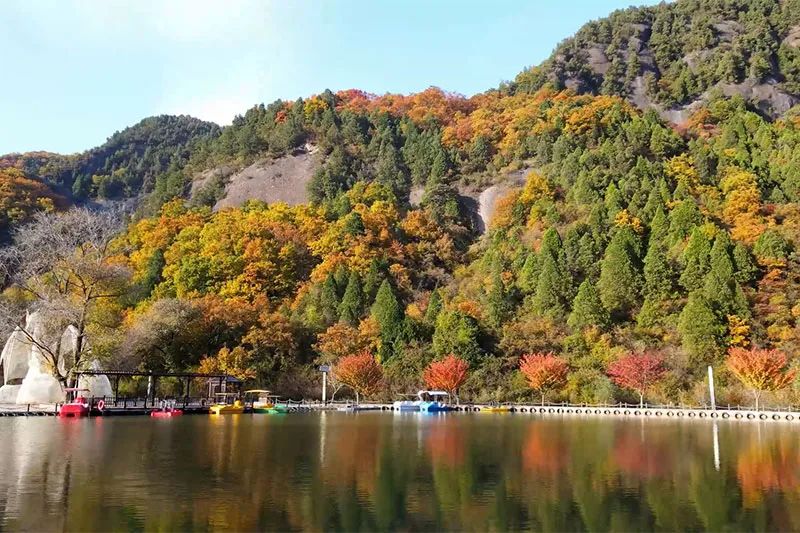 西安周边旅游放松：20处秋季银杏红叶最佳观赏地！  第19张
