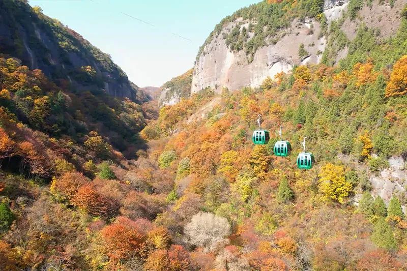 西安周边旅游放松：20处秋季银杏红叶最佳观赏地！  第20张