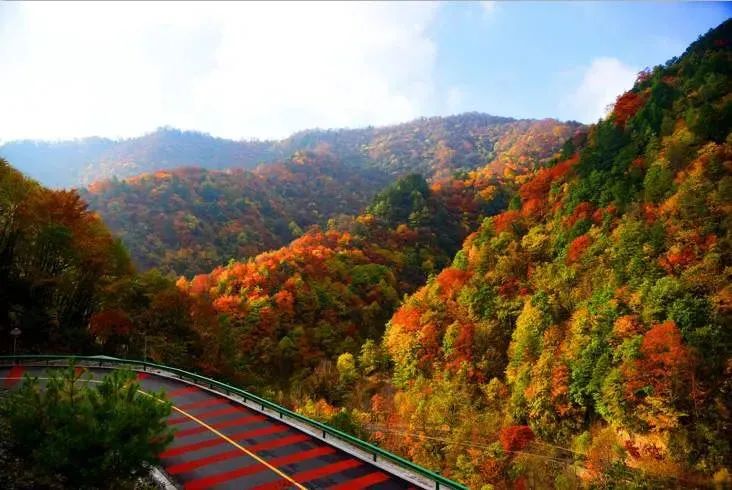 西安周边旅游放松：20处秋季银杏红叶最佳观赏地！  第34张