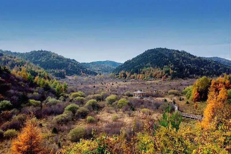 西安周边旅游放松：20处秋季银杏红叶最佳观赏地！  第35张