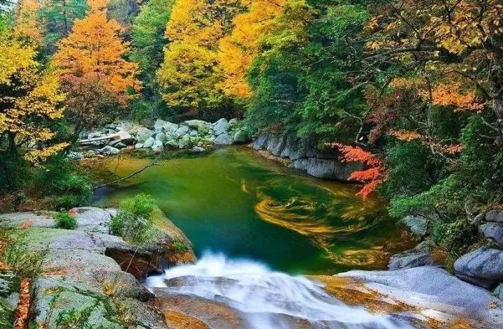 西安周边旅游放松：20处秋季银杏红叶最佳观赏地！  第37张