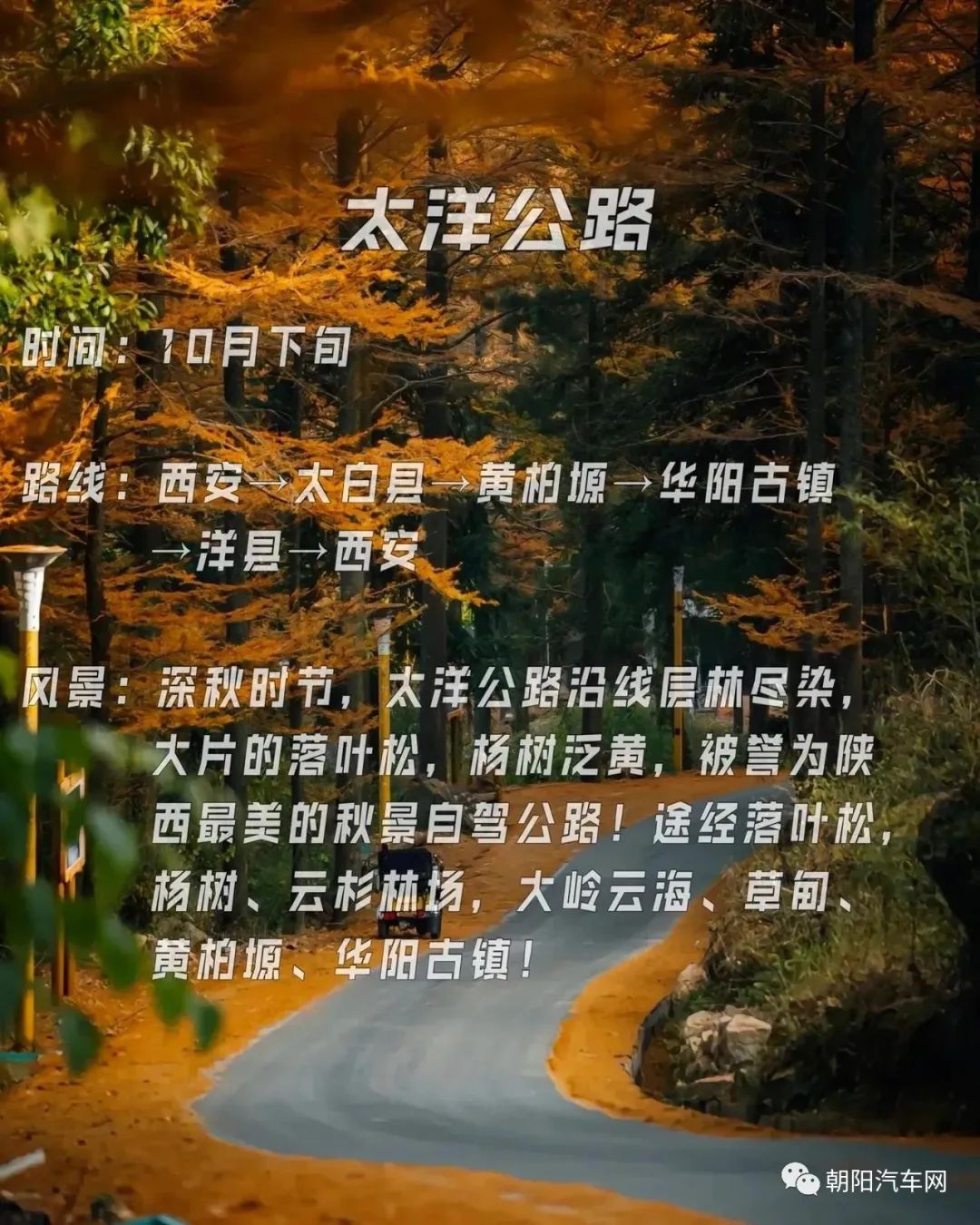 西安周边旅游放松:20处秋季银杏红叶最佳观赏地! 第56张