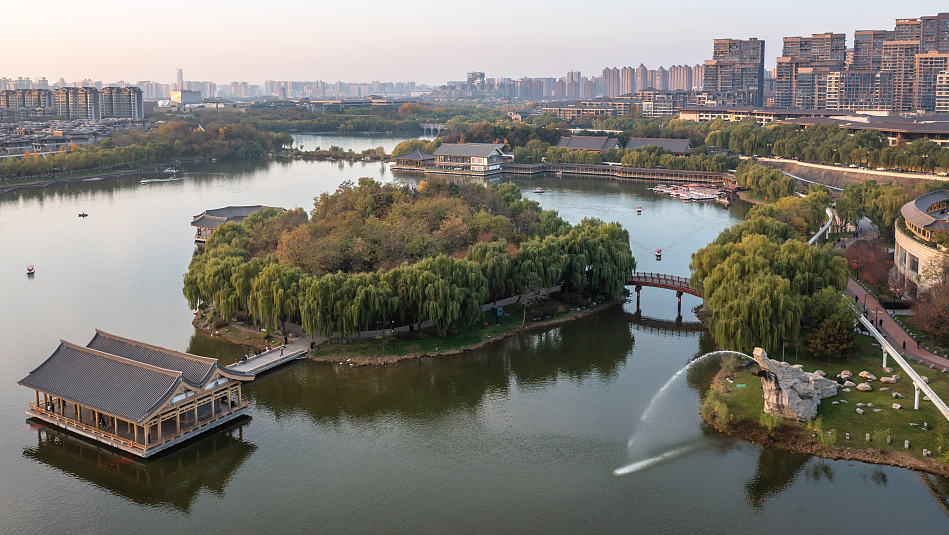 收好这份西安及周边旅游观赏桂地图→桂花终于“想开了”! 第14张