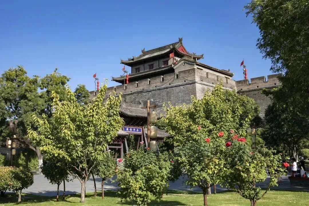 收好这份西安及周边旅游观赏桂地图→桂花终于“想开了”! 第16张