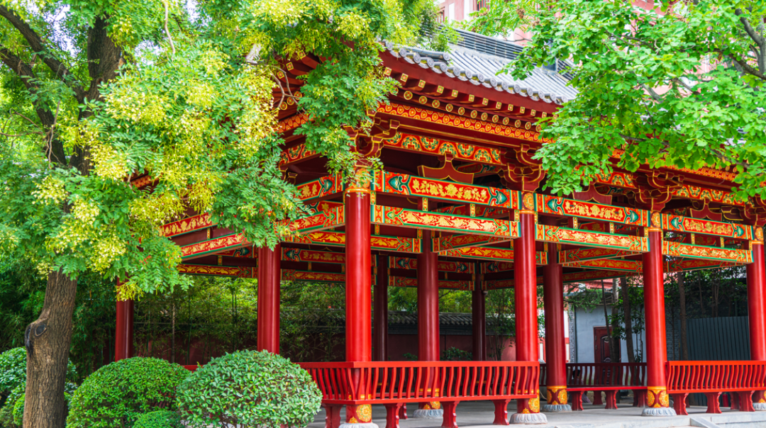 收好这份西安及周边旅游观赏桂地图→桂花终于“想开了”! 第22张